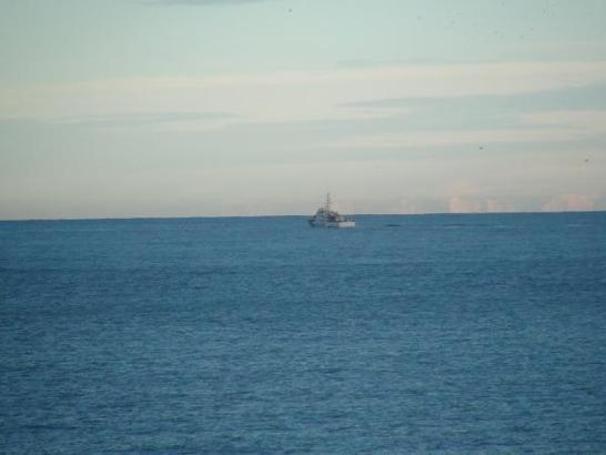 Odun toplamaya gittiği sahilde kaybolan kadını arama çalışmalarından 3’üncü gün