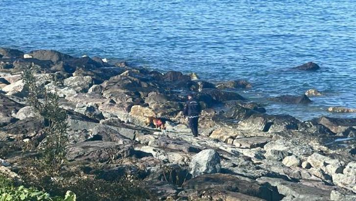 Odun toplamaya gittiği sahilde kaybolan kadını arama çalışmalarında 5'inci gün