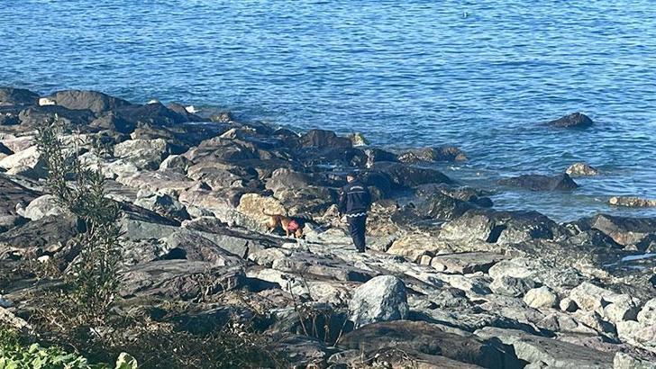 Odun toplamaya gittiği sahilde kaybolan kadını arama çalışmalarında 5'inci gün