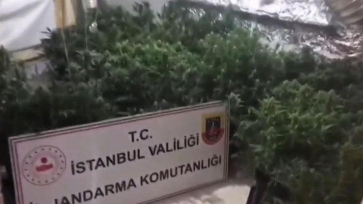 Eyüpsultan’da uyuşturucu serasına çevrilen villaya baskın