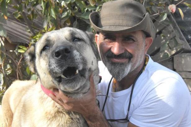 Kangal köpekleri dünyada safkan ırk olarak kabul görmüyor; gen haritasının çıkarılması gerek