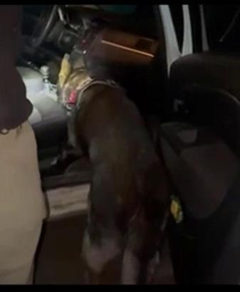 Vites kutusundaki uyuşturucuyu 'Daxo' buldu