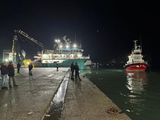 Bartın'da balıkçılar, 300 ton hamsiyle döndü
