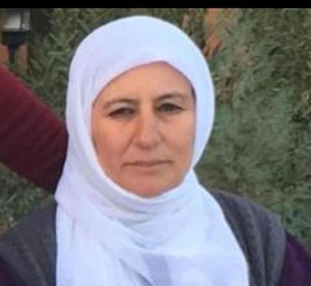 Mardin'de otomobilin çarptığı kadın öldü