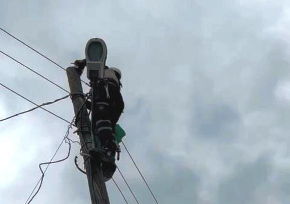 Elektrik direğine çıkan yavru kedi kurtarıldı