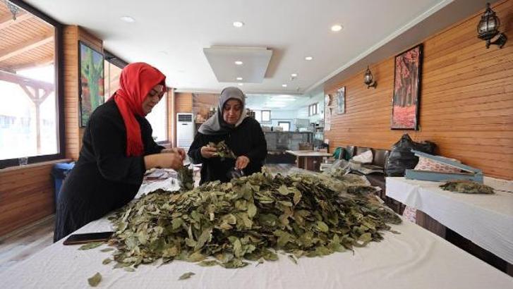 Atatürk Orman Çiftliği'nden kadın kooperatifleri ve üretici birliklerine destek