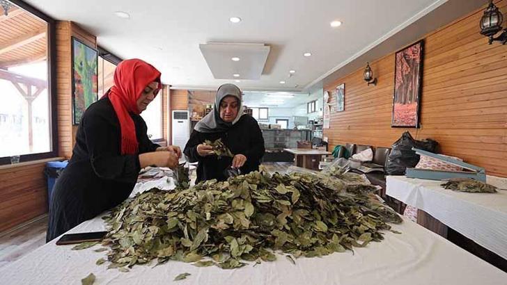 Atatürk Orman Çiftliği'nden kadın kooperatifleri ve üretici birliklerine destek