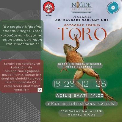 Toros kurbağalarının ilk kez su altından çekilen fotoğrafları görücüye çıkıyor