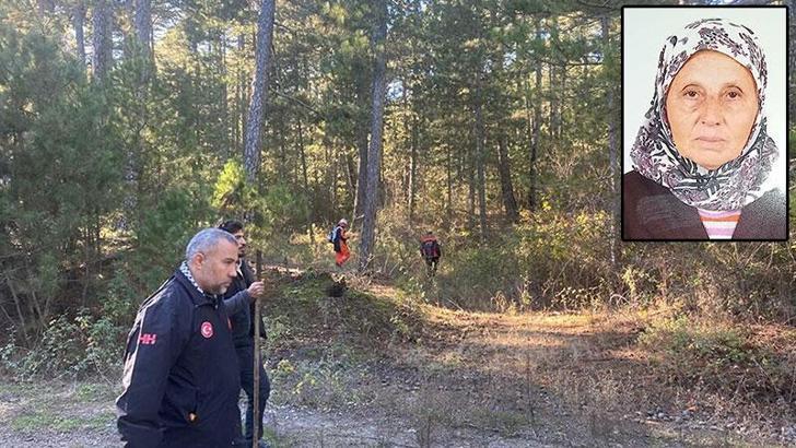 Mantar toplamak için gittiği ormanda kaybolan kadın, ölü bulundu