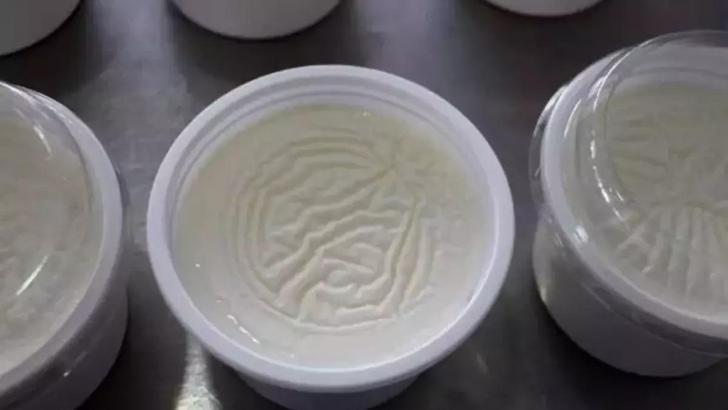 “Fermente besinler, geçirgen bağırsak sendromuna karşı koruyucu özellik gösteriyor”