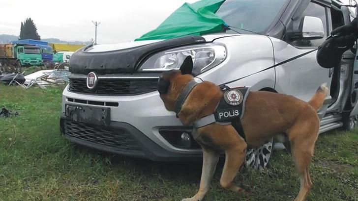 Narkotik köpeği 'Poyraz', kasımın en başarılısı