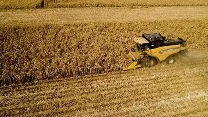 TÜİK: Tarımsal girdi fiyat endeksi ekimde arttı