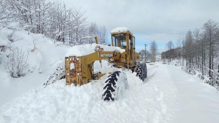 Doğu Karadeniz'de kar; 367 köy yolu kapandı