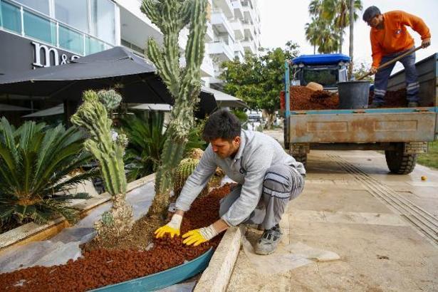 Konyaaltı Caddesi'nde kurakçıl peyzaj çalışması
