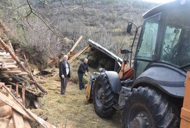 Artvin'de heyelan; ahır çöktü 2 büyükbaş öldü
