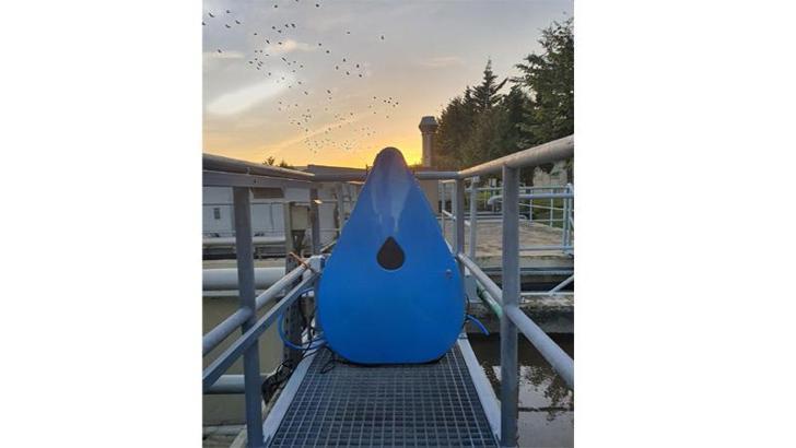 Arıtmada yeni dönem: Atık suların arıtımında mikroorganizmalar kullanılıyor