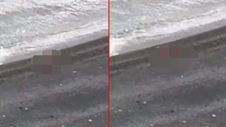 Plajda cinsel ilişki görüntülerine inceleme