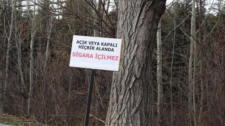 130 üniversite yerleşkesinde açık alanların yüzde 44'ü 'dumansız hava sahası'