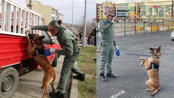 Tekirdağ'ın narkotik köpeği Larissa öldü
