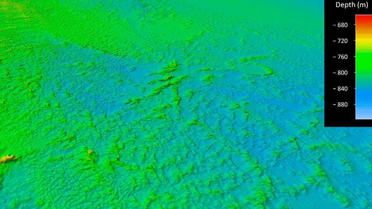 Dünyanın en geniş derin deniz mercan resifinin haritası çıkarıldı