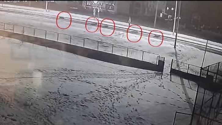 Ardahan'da kurt sürüsü ilçe merkezine indi; o anlar kamerada
