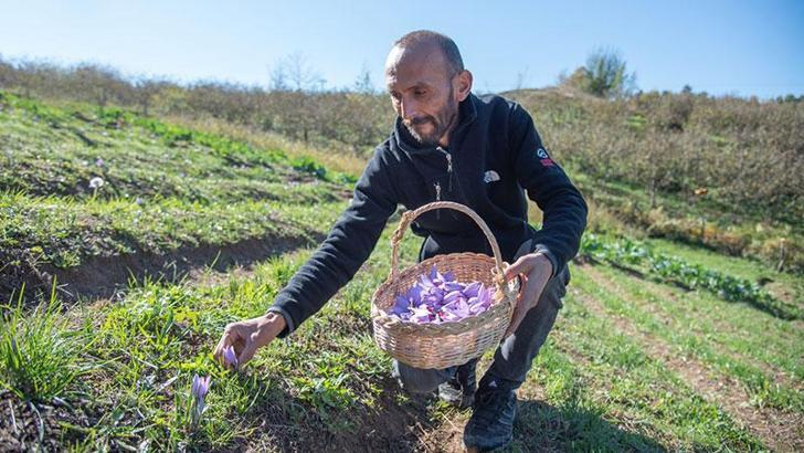 İhtisas üniversiteleri marka olmak için yarışıyor
