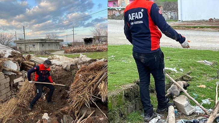 Ahır çöktü; içerdeki 8 yavru köpekten 5'i sağ çıkarıldı
