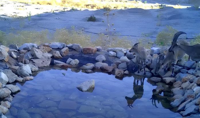 OYAK Çimento'nun Antalya'daki üretim sahası yeniden doğaya kazandırılıyor