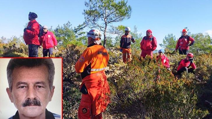Mantar toplamaya gittiği ormanda kaybolmuştu, aramalar 8 gün sonra yeniden başladı