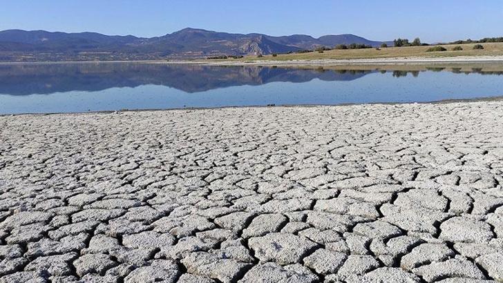 'Sulak alanlarımızı ve suyumuzu tüketirsek Büyük Kitlesel 6'ncı Yok Oluş kapımızı çalar'