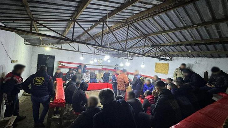 Horoz dövüştürenlere baskın; 224 bin TL ceza kesildi