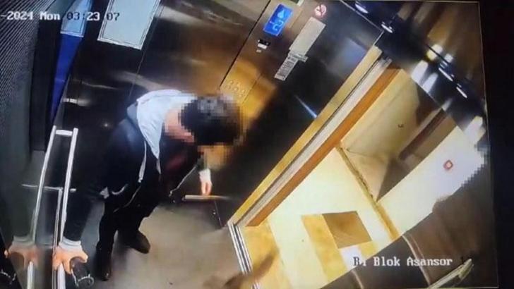 Başakşehir'de kediyi tekmeleyerek öldüren sanığın cezasının ertelenmesine savcılık itiraz etti