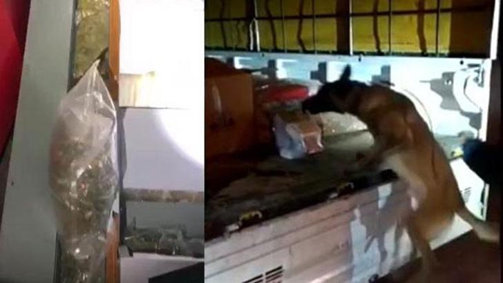 Polisin, kokusundan bulduğu uyuşturucuyu taşıyan kamyonetin şoförüne 13 yıl hapis