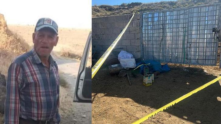 Boğanın saldırısına uğrayan baba öldü, oğlu yaralandı