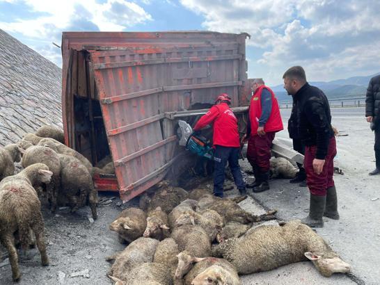 Balıkesir'de TIR, kamyona arkadan çarptı; 1 kişi hayatını kaybetti, 2 kişi yaralandı, 52 koyun öldü