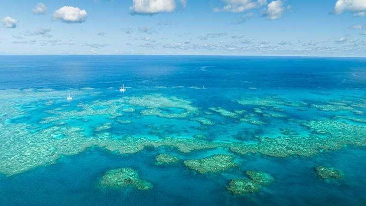 Dünya Mirası Listesi’ndeki dünyanın en büyük mercan resifi beyazlıyor