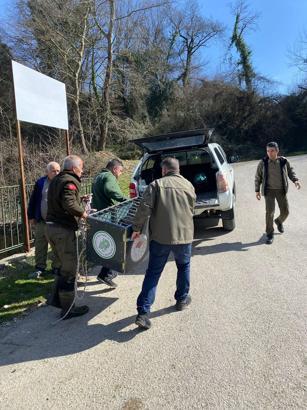 Su kanalına düşen karaca kurtarıldı