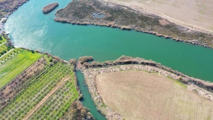 Dalyan Kanalı'nda sazlıklar söküldü, inceleme başlatıldı