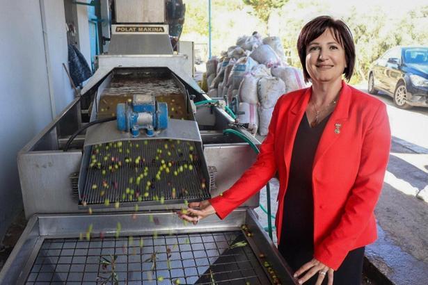 Karaburun'un 'furma' zeytini, marka tescili alan bölgedeki ilk ürün oldu