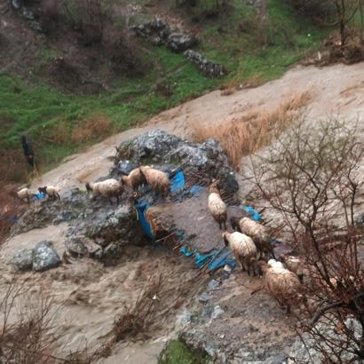 Beytüşşebap'ta sağanak nedeniyle okullar tatil edildi