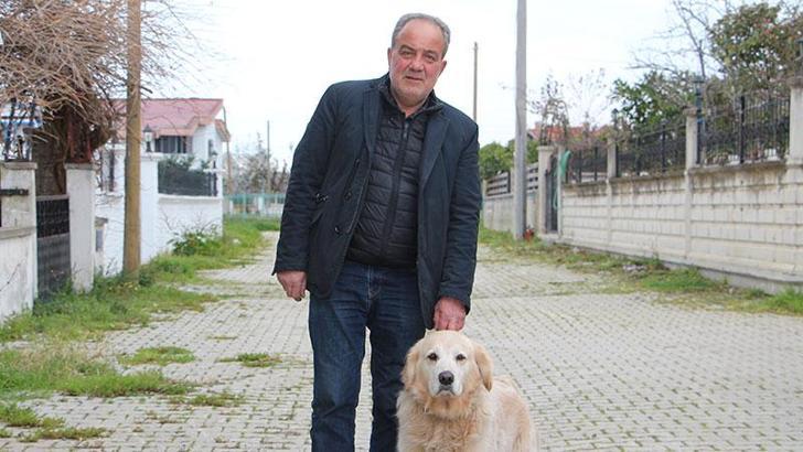 Aile hekiminin yaralanmasına neden olduğu iddia edilen köpeğin ceza alan sahibi CİMER’e şikayette bulundu