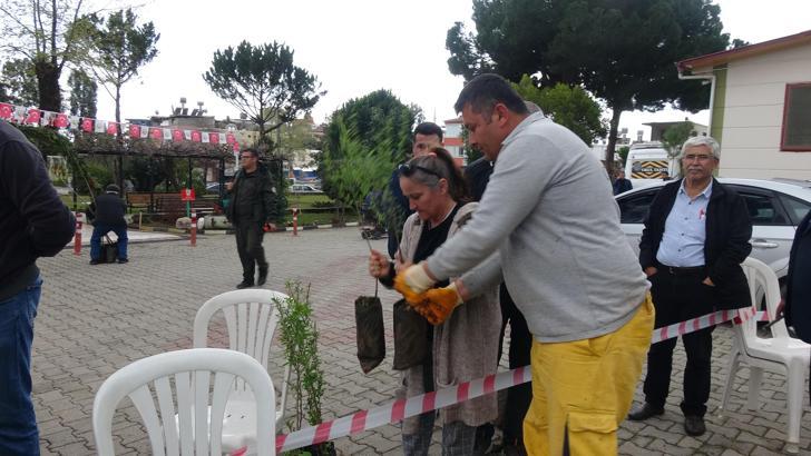 Anamur Orman İşletmesi'nden 20 bin kişiye 63 bin fide