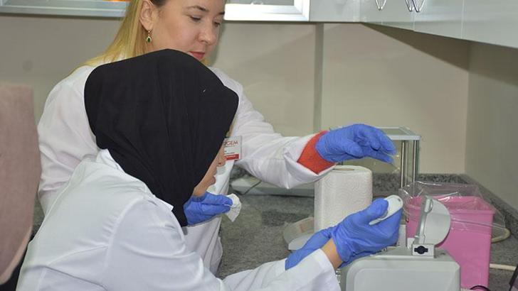 Patatesin 'parmak izi' çıkartılarak genetik tabanı oluşturuluyor