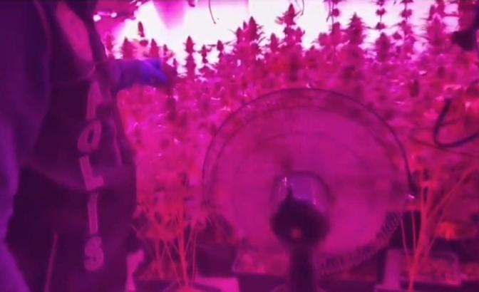 Uyuşturucu ticareti şüphelisi, evini seraya çevirmiş