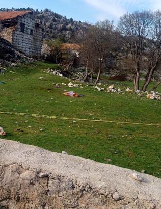 3 köpeğin saldırdığı kadın öldü