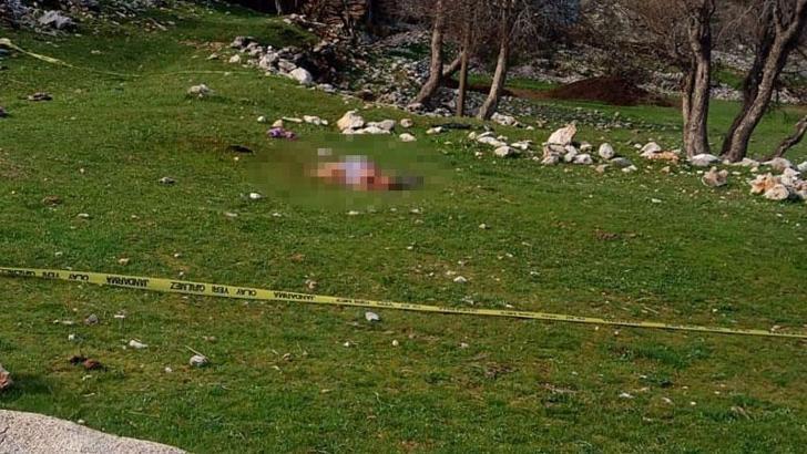 3 köpeğin saldırdığı kadın öldü