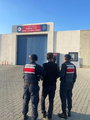 3 köpeğin saldırdığı kadın öldü (2)