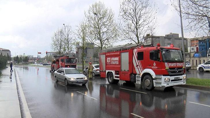 Başakşehir'de kaza sonrası ağaçtan düşen yavru kargalara itfaiyeden yardım eli