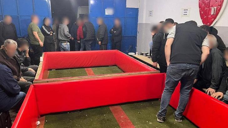 Horoz dövüştürenlere 961 bin TL ceza