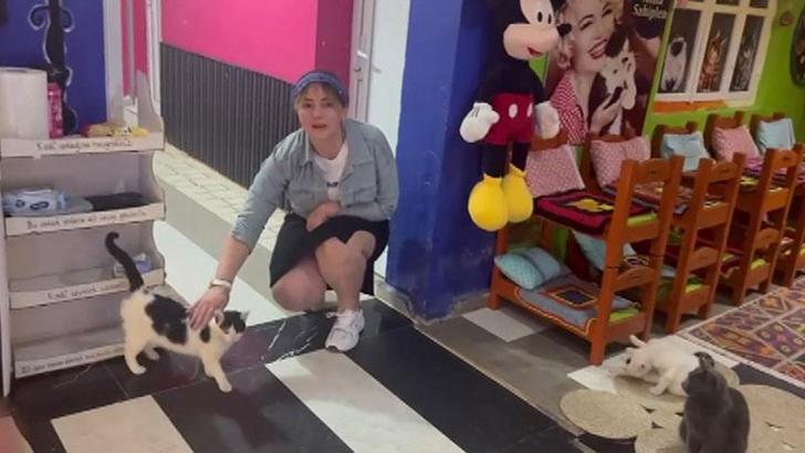 Şehir dışındaki ev sahibi 5 saatte ikna edildi, bir haftadır mahsur olan kedi kurtarıldı